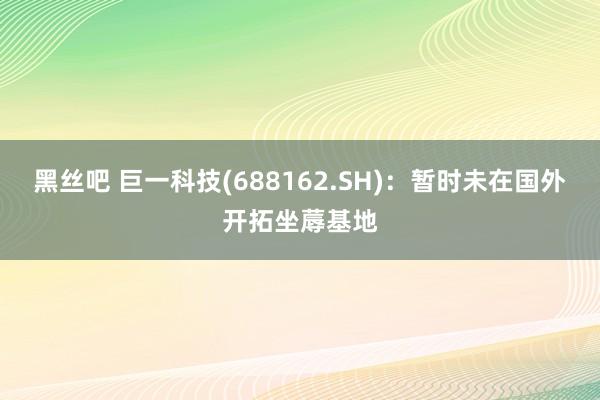 黑丝吧 巨一科技(688162.SH)：暂时未在国外开拓坐蓐基地