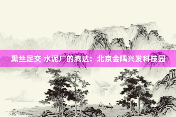 黑丝足交 水泥厂的腾达：北京金隅兴发科技园