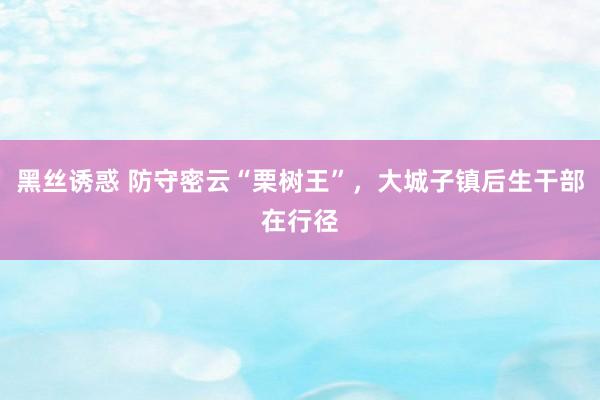 黑丝诱惑 防守密云“栗树王”，大城子镇后生干部在行径