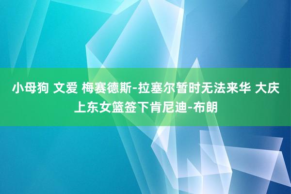 小母狗 文爱 梅赛德斯-拉塞尔暂时无法来华 大庆上东女篮签下肯尼迪-布朗
