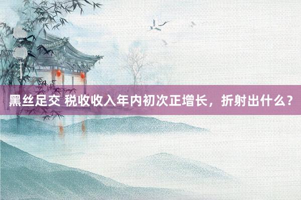 黑丝足交 税收收入年内初次正增长，折射出什么？