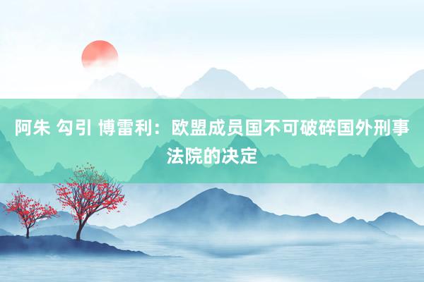 阿朱 勾引 博雷利：欧盟成员国不可破碎国外刑事法院的决定