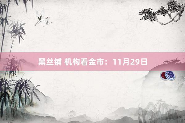 黑丝铺 机构看金市：11月29日