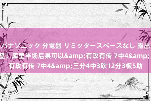 パナソニック 分電盤 リミッタースペースなし 露出・半埋込両用形 基本盘！库里半场后果可以&
