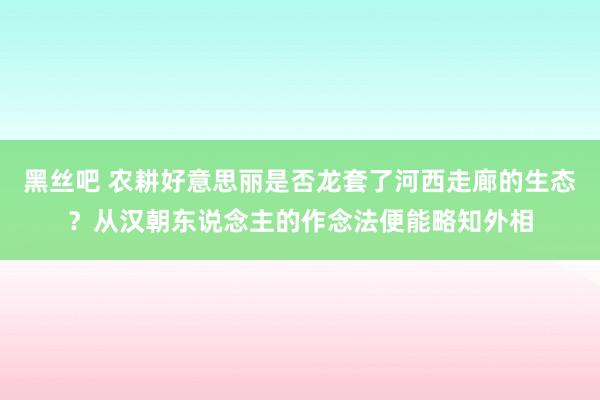黑丝吧 农耕好意思丽是否龙套了河西走廊的生态？从汉朝东说念主的作念法便能略知外相