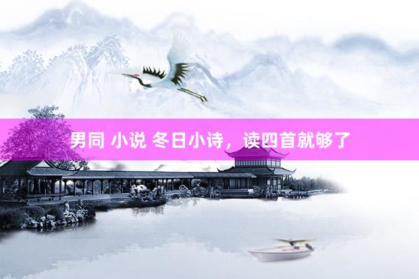 男同 小说 冬日小诗，读四首就够了