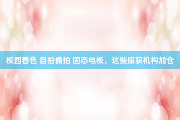 校园春色 自拍偷拍 固态电板，这些股获机构加仓