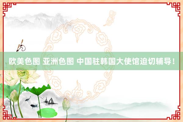 欧美色图 亚洲色图 中国驻韩国大使馆迫切辅导!