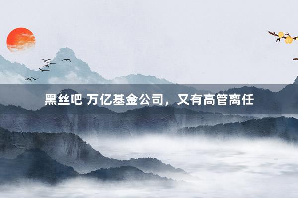黑丝吧 万亿基金公司，又有高管离任