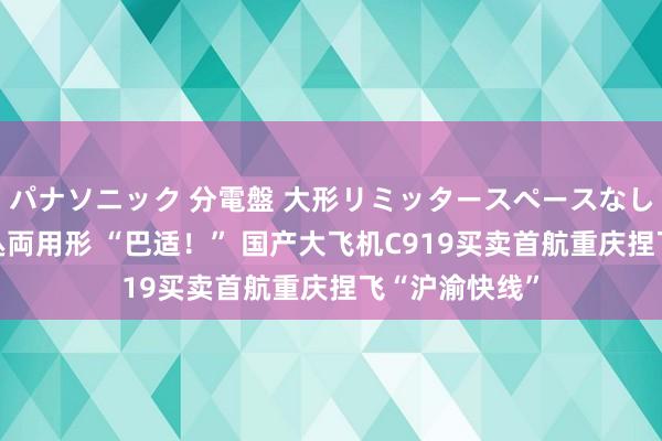 パナソニック 分電盤 大形リミッタースペースなし 露出・半埋込両用形 “巴适!” 国产大飞机C919买卖首航重庆捏飞“沪渝快线”