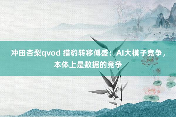 冲田杏梨qvod 猎豹转移傅盛：AI大模子竞争，本体上是数据的竞争