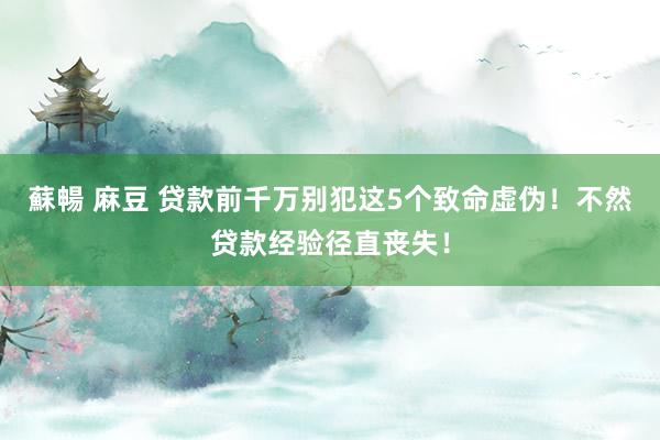 蘇暢 麻豆 贷款前千万别犯这5个致命虚伪！不然贷款经验径直丧失！