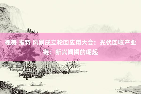 裸舞 推特 风景成立轮回应用大会：光伏回收产业链：新兴阛阓的崛起