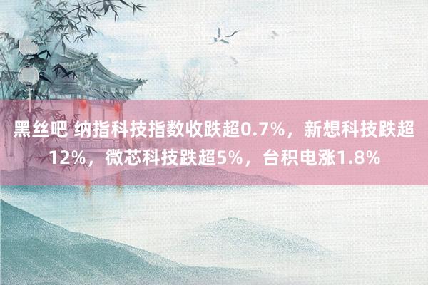 黑丝吧 纳指科技指数收跌超0.7%，新想科技跌超12%，微芯科技跌超5%，台积电涨1.8%
