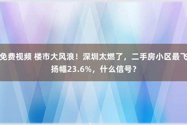 免费视频 楼市大风浪！深圳太燃了，二手房小区最飞扬幅23.6%，什么信号？