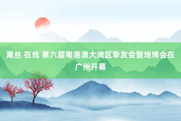 黑丝 在线 第六届粤港澳大湾区挚友会暨地博会在广州开幕