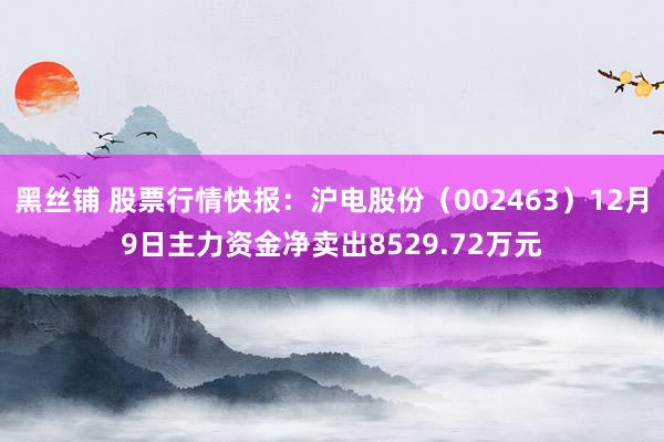 黑丝铺 股票行情快报：沪电股份（002463）12月9日主力资金净卖出8529.72万元