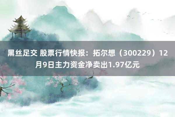 黑丝足交 股票行情快报：拓尔想（300229）12月9日主力资金净卖出1.97亿元
