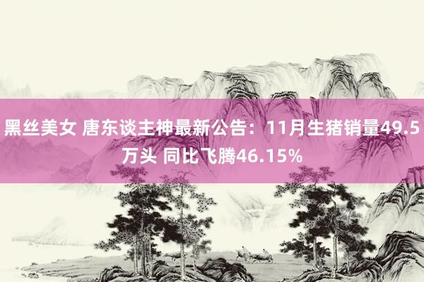 黑丝美女 唐东谈主神最新公告：11月生猪销量49.5万头 同比飞腾46.15%