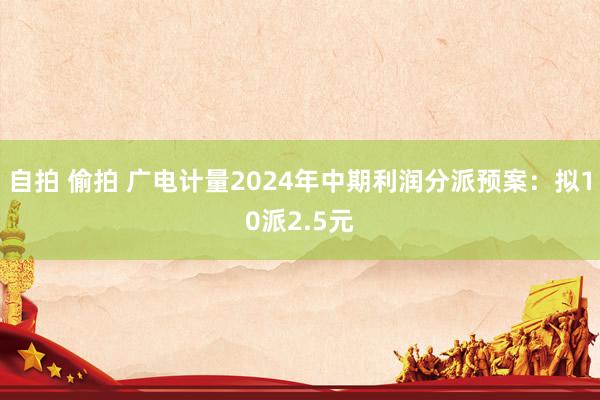 自拍 偷拍 广电计量2024年中期利润分派预案：拟10派2.5元