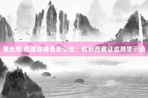 黑丝吧 西藏珠峰最新公告：收到西藏证监局警示函