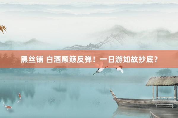 黑丝铺 白酒颠簸反弹！一日游如故抄底？