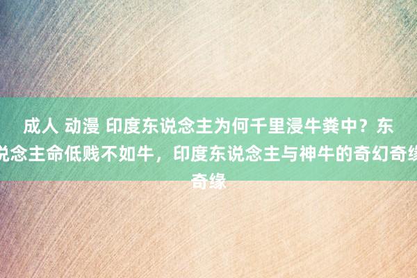 成人 动漫 印度东说念主为何千里浸牛粪中？东说念主命低贱不如牛，印度东说念主与神牛的奇幻奇缘