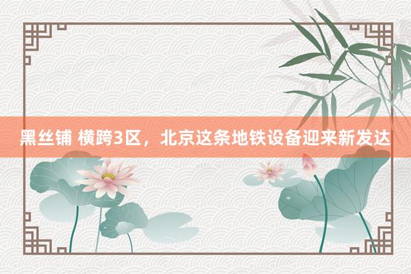 黑丝铺 横跨3区，北京这条地铁设备迎来新发达
