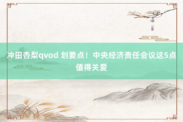 冲田杏梨qvod 划要点！中央经济责任会议这5点值得关爱
