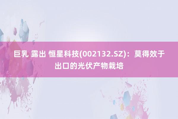 巨乳 露出 恒星科技(002132.SZ)：莫得效于出口的光伏产物栽培