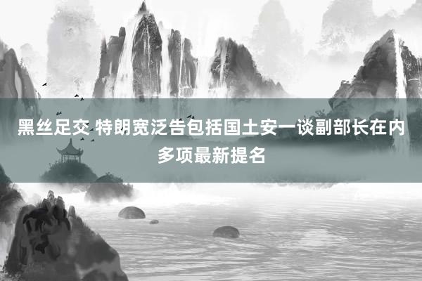 黑丝足交 特朗宽泛告包括国土安一谈副部长在内多项最新提名