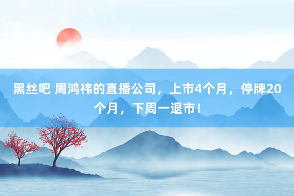 黑丝吧 周鸿祎的直播公司，上市4个月，停牌20个月，下周一退市！