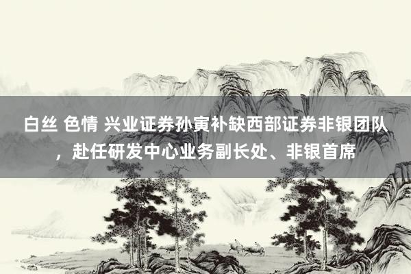 白丝 色情 兴业证券孙寅补缺西部证券非银团队，赴任研发中心业务副长处、非银首席