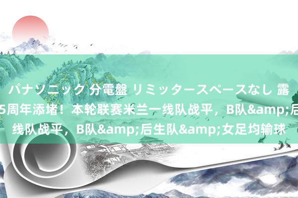 パナソニック 分電盤 リミッタースペースなし 露出・半埋込両用形 125周年添堵！本轮联赛米兰一线队