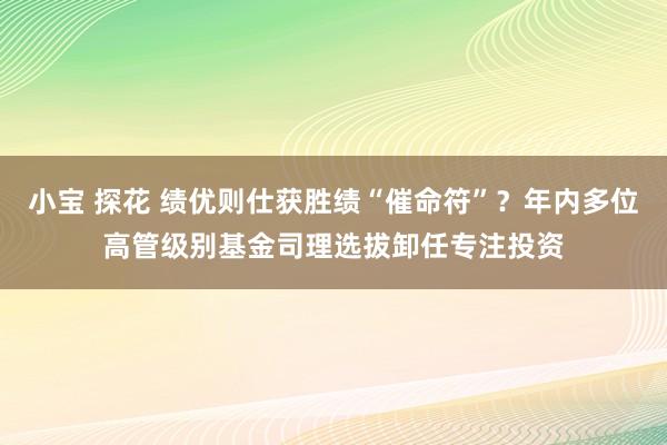 小宝 探花 绩优则仕获胜绩“催命符”？年内多位高管级别基金司理选拔卸任专注投资