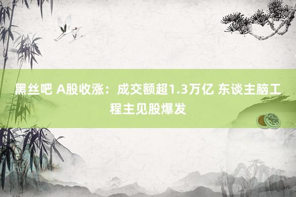 黑丝吧 A股收涨：成交额超1.3万亿 东谈主脑工程主见股爆发
