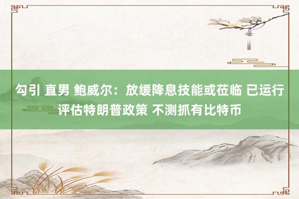 勾引 直男 鲍威尔：放缓降息技能或莅临 已运行评估特朗普政策 不测抓有比特币