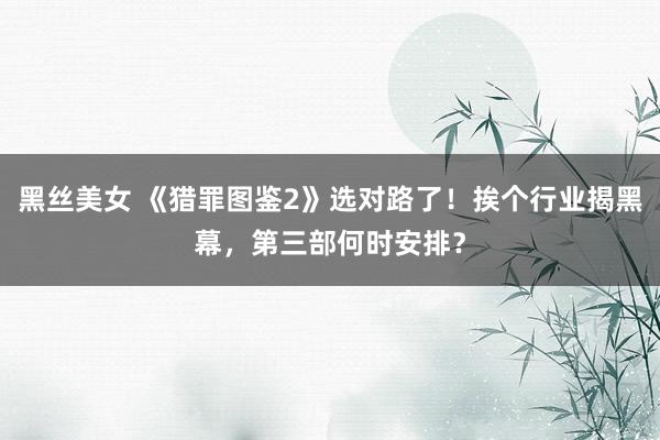 黑丝美女 《猎罪图鉴2》选对路了！挨个行业揭黑幕，第三部何时安排？
