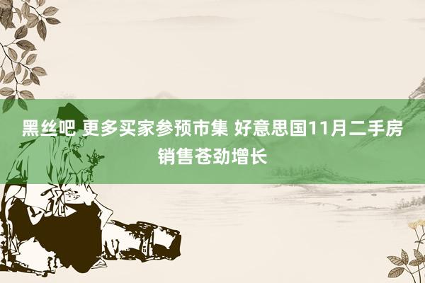 黑丝吧 更多买家参预市集 好意思国11月二手房销售苍劲增长