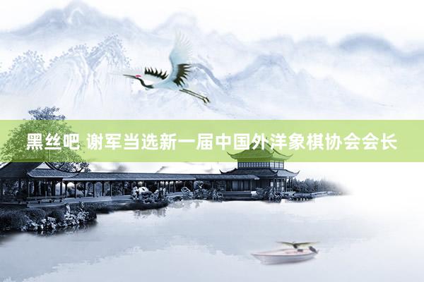 黑丝吧 谢军当选新一届中国外洋象棋协会会长