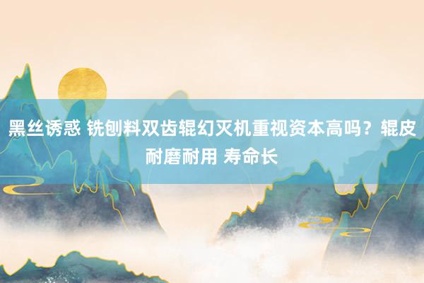 黑丝诱惑 铣刨料双齿辊幻灭机重视资本高吗？辊皮耐磨耐用 寿命长