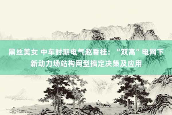 黑丝美女 中车时期电气赵香桂：“双高”电网下新动力场站构网型搞定决策及应用