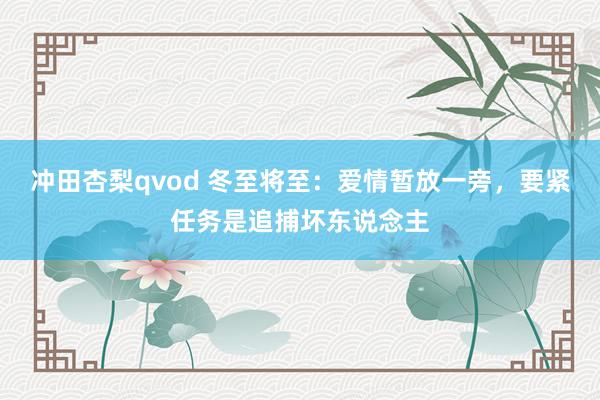 冲田杏梨qvod 冬至将至：爱情暂放一旁，要紧任务是追捕坏东说念主