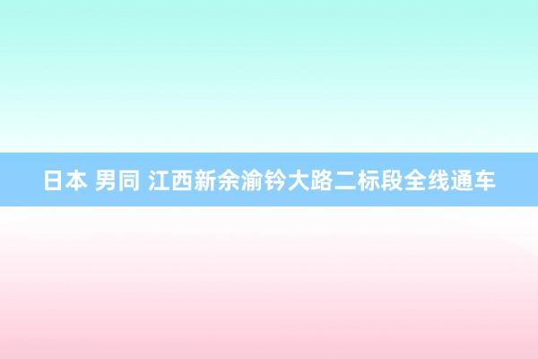 日本 男同 江西新余渝钤大路二标段全线通车