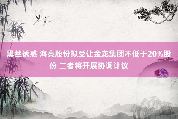 黑丝诱惑 海亮股份拟受让金龙集团不低于20%股份 二者将开展协调计议