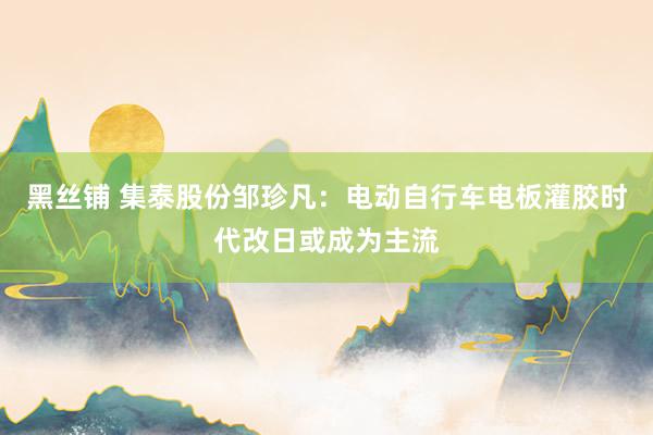 黑丝铺 集泰股份邹珍凡：电动自行车电板灌胶时代改日或成为主流