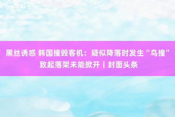黑丝诱惑 韩国撞毁客机：疑似降落时发生“鸟撞” 致起落架未能掀开丨封面头条