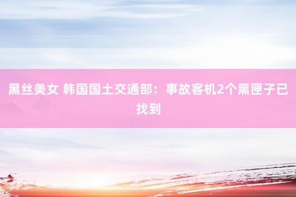 黑丝美女 韩国国土交通部：事故客机2个黑匣子已找到