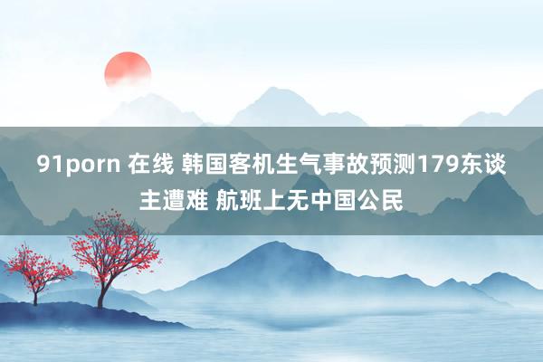91porn 在线 韩国客机生气事故预测179东谈主遭难 航班上无中国公民