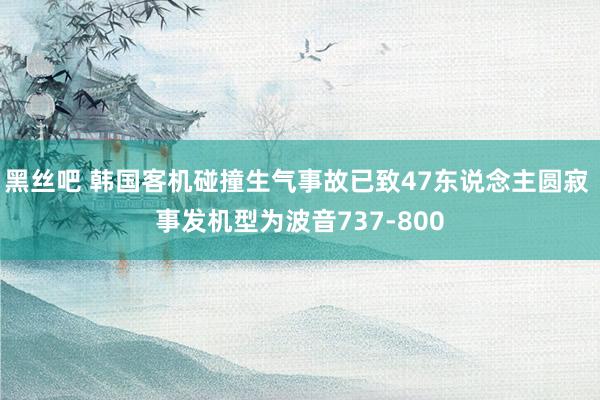 黑丝吧 韩国客机碰撞生气事故已致47东说念主圆寂 事发机型为波音737-800